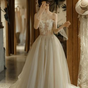 Light Champagne Tulle Lace Long Prom Dress, A-Line Strapless Evening Party Dress